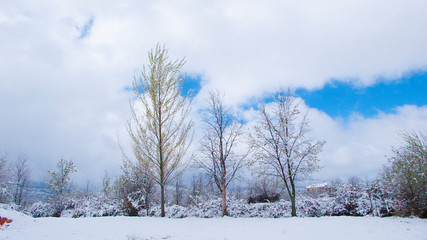 PAISAJE DE ARBOLES CON NIEVE Y CIELO AZUL NUBOSO