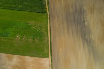 Pole uprawne i łąki rolnicze. Zdjęcie lotnicze