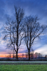 Fototapeta na wymiar Rural scenery wit trees and a beautiful sunset, Weelde, Belgium.