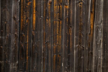 Ściana starego drewna. Tekstura stare deski