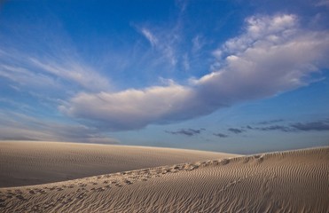 Naklejka premium sand dunes in the beach