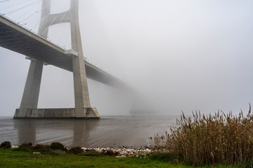 bridge over the river
