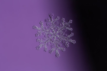 Symmetrical Snowflake on a Purple and Black Background