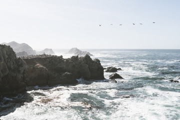 Bird Rock in Point Lobos State Reserve Park in Monterey California on a sunny, yet hazy day. Birds such as pelicans and seagulls mate and nest here