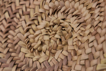 Diseño de asiento orgánico