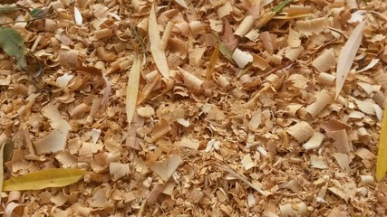 Scattering of sawdust after woodworking