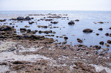 Obraz premium Rugged scenery along the Pacific Coast Highway near big sur