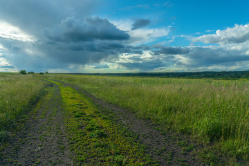 dirt road through the field on the background of rain clouds