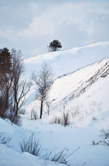 Winter landscape with trees on the slopes of the ravine. Evening serene picturesque view of Ukraine.