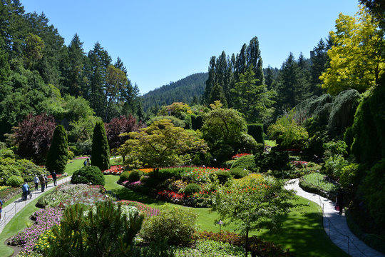 View of the Sunken Garden in The Butchart Gardens, Victoria, British Columbia, Canada