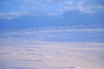 Winter field landscape. Clouds in the evening sky. Travel serene scenic view of Ukraine.