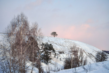 Winter landscape with trees on the slopes of the ravine. Evening serene picturesque view of Ukraine.