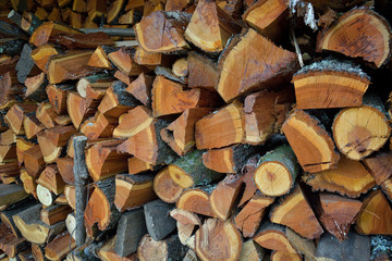 Pile of chopped wood (wood fo fire)