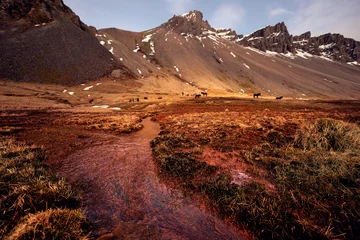 Stokksnes und Westhorn, Island © Roksolana