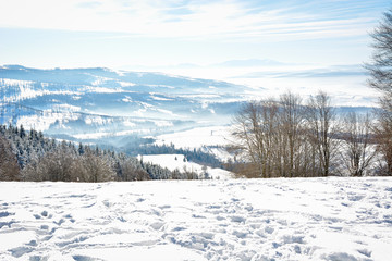 Beautiful winter landscape in the mountain village. Foggy morning