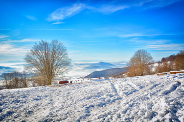 Beautiful winter landscape in the mountain village. Foggy morning