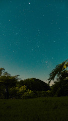 Fototapeta premium Evening stars