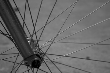 bicycle spokes close-up