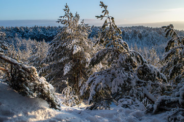winter mountain landscape