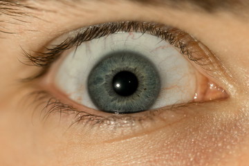 Human eye close-up.Macro photo