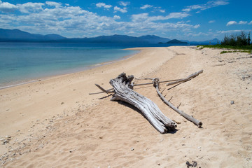 Fototapeta na wymiar Bleached driftwood lies on a white sand tropical island beach
