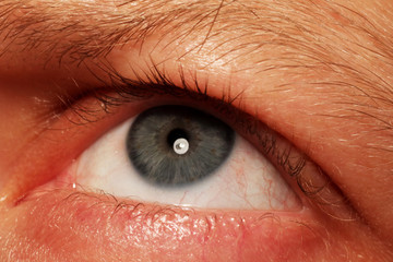 Human blue eye.