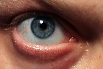 Human blue eye.