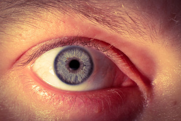 Human blue eye.