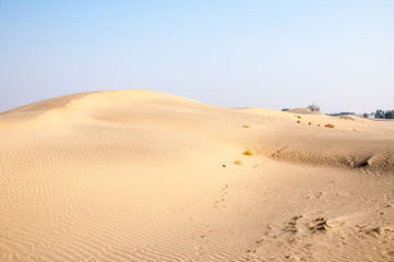 Sand dunes in the Thar desert 