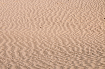 A wavy texture of the sand 