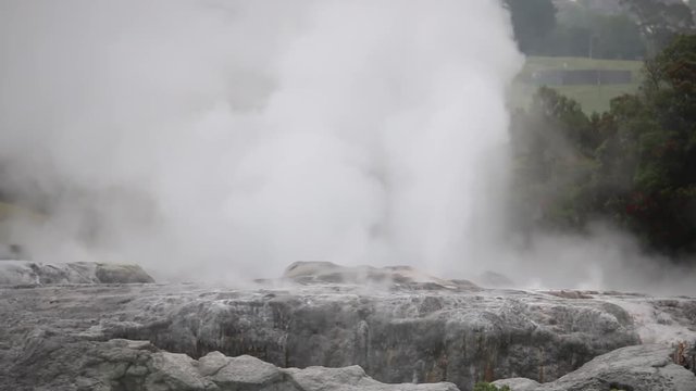 Te Puia water geyser thermal pool rotorua new zealand