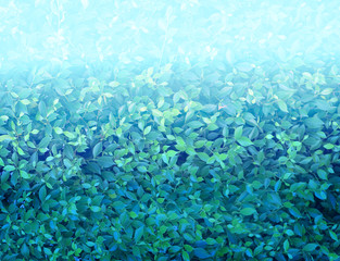 Fototapeta na wymiar Beautiful background of green leaves on background