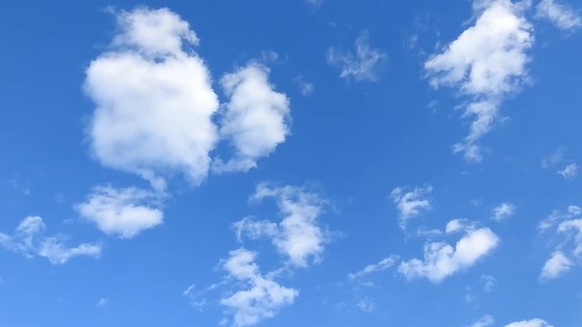 慌ただしい師走だが、ふんわり雲が気持ち良い青空。タイムラプス動画