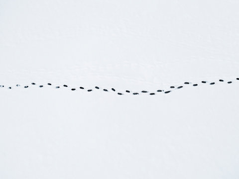 Aerial view of a human footprints on white snow on the frozen lake. Top view human footprints in deep snow. Aerial Snow texture with foot prints. Aerial winter.