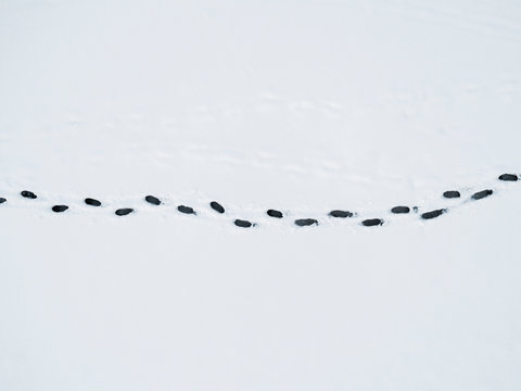 Aerial view of a human footprints on white snow on the frozen lake. Top view human footprints in deep snow. Aerial Snow texture with foot prints. Aerial winter.