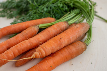 A bunch of carrots. 