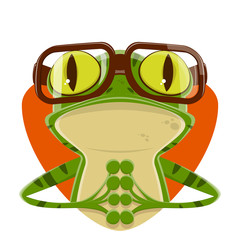 cartoon illustration of a frog with nerd glasses
