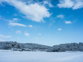 雪の積もったたんぼ