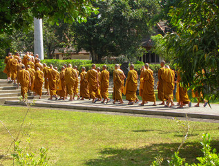 Monks in saffron robes at Mendut Buddhist Monastery, Java, Indonesia