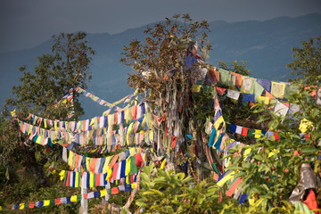 colorful waving prayer flags