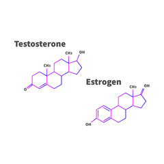 Estrogen and testosterone formula