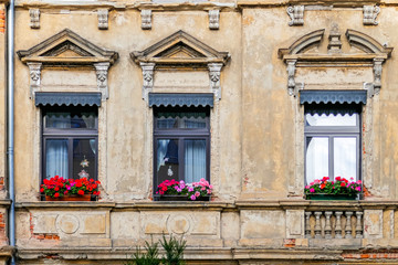 Fototapeta na wymiar weathered but beautiful house windows with geranium flowers