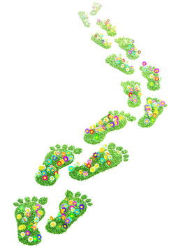 foot print made of green grass  and flowers isolated