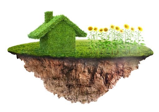 an eco house concept made of grass