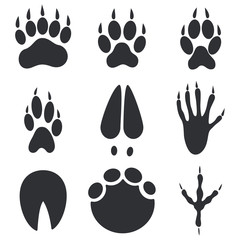 Animal Paws, Hoofs and Foot Trace Prints