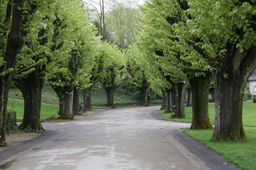 fotografias de paisajes varios naturaleza 