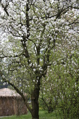 fotografias de paisajes varios naturaleza 