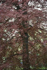 fotografias de paisajes varios naturaleza 