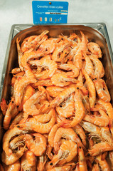 Etal de crevettes roses d'Equateur