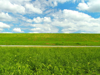 江戸川の秋の河川敷と土手風景